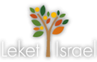 LeketBrightLogoWithShadow-02